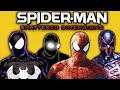 Marvels first spiderverse  spiderman shattered dimensions retrospective review