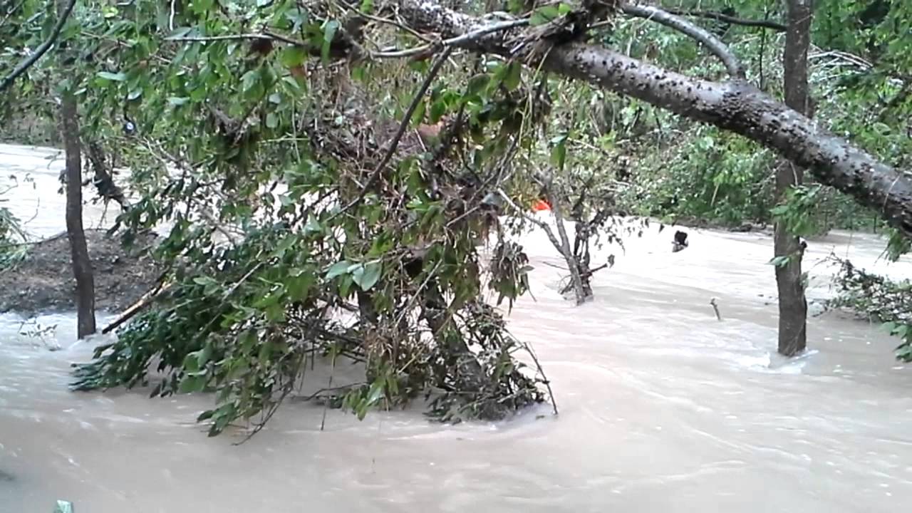 Cibolo Creek @Cibolo Nature Center 5/23/15