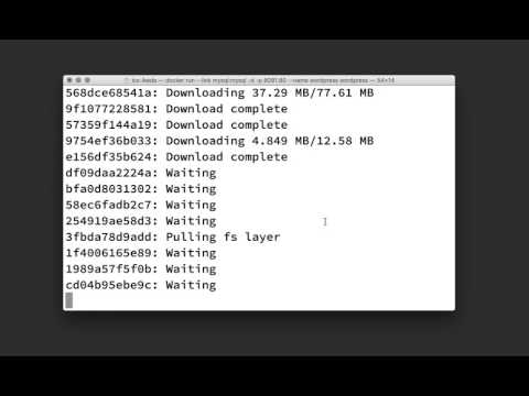 DockerでWordPress環境を構築する手順