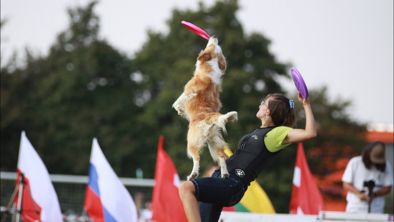 Joanna Korbel & Navi USDDN EuropeanChampionship 2019