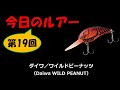 今日のルアー 第19回【ダイワ／ワイルドピーナッツ】Daiwa WILD PEANUT