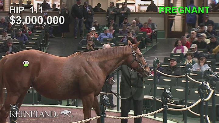 Take Charge Brandi Sells for $3.2 million at 2019 Keeneland November