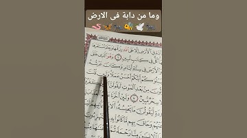 سورة هود آية رقم 5 الشيخ احمد العجمي #quran#القرآن_الكريم 🦋