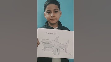 Megalodon Sketch🦈|Aonik Sajwan