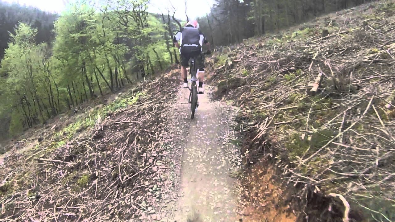 cardinham woods mtb