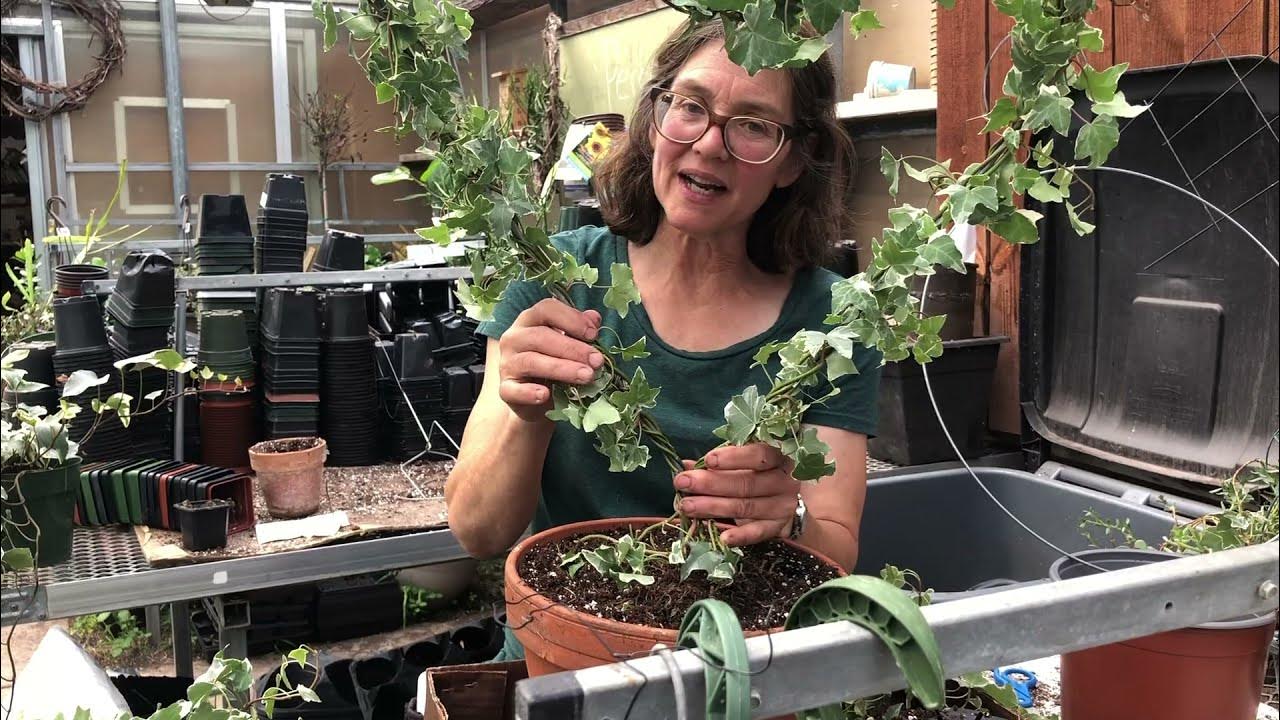 How to make a Topiary YouTube