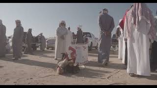 Saudi People In The Bird And Poultry Market, Najran Province, Najran, Saudi Arabia