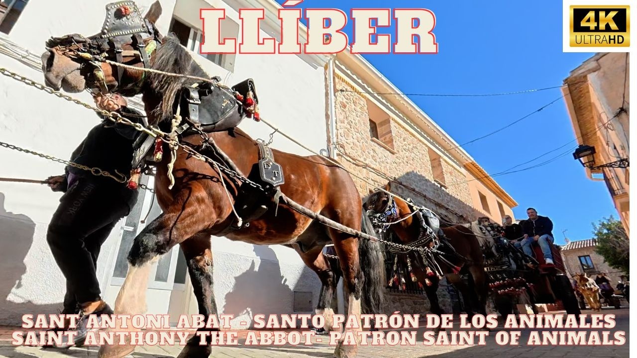 Caballos y Carros y Bendición de Sant Antoni Abat de Llíber, 🇪🇸🐾🐎 Horse Parade and Animal Blessing