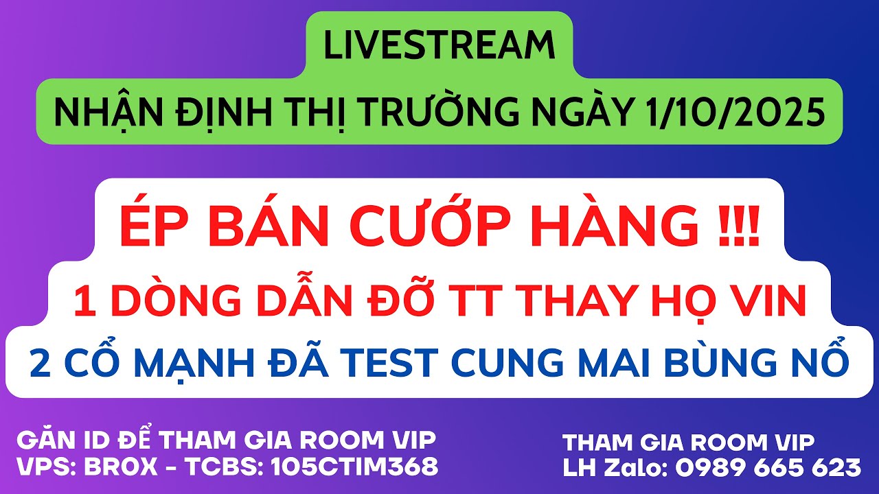 ✂️ 3 cổ phiếu mẫu hình cốc tay cầm bùng nổ sóng tăng mạnh 30%