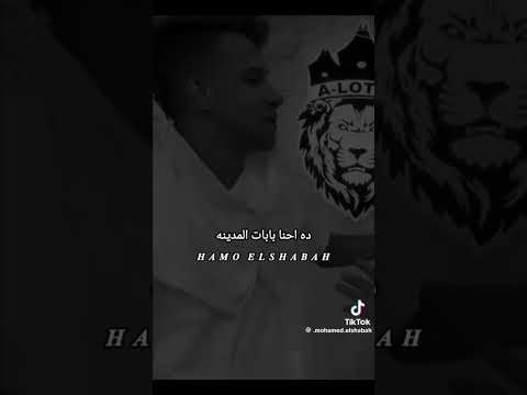 عصام صاصا 2025