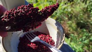How To Prepare Sumac Berries For Homemade Seasoning