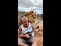 PLAYING MY UKULELE WITH THE LIONS! #shorts