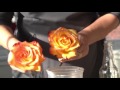 How to Preserve Flowers with Wax