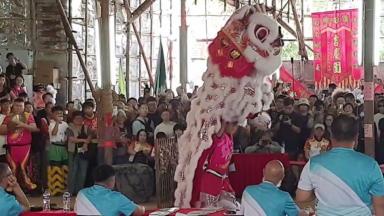錦田鄉酬恩建醮  獅王爭霸（第20隊）