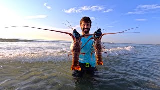 Catching a LIMIT of Lobsters from the Beach *No Boat Needed* | Catch & Cook