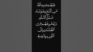 (سبل السلام) #قرآن #ليدّبّروا_آياته #راحة_نفسية #شاشه_سوداء #سورة_المائدة #عبدالرحمن_ريس #quran