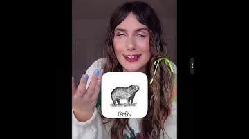 Paper boy race with  old skin