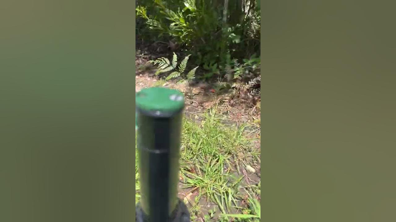 Orbit Saturn 3 sprinkler head. YouTube
