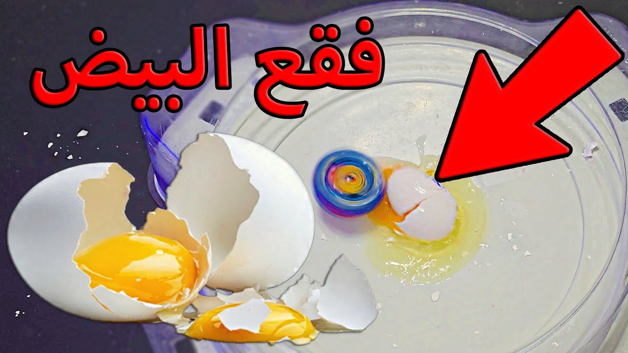 مصيبة🤯كسرت البيض بالبلابل وفقسوا