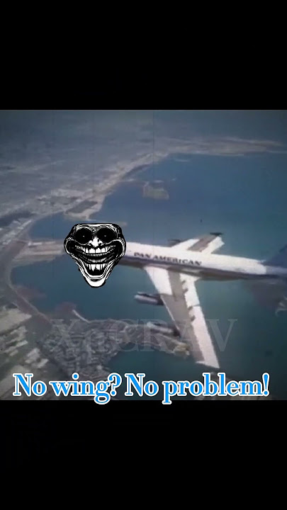 The best emergency landings pt. 2 | #aviation #planes #emergencylanding #avgeek #commercialaircraft