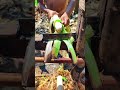 ​The Ancient Technique of Extracting Fiber 🫨