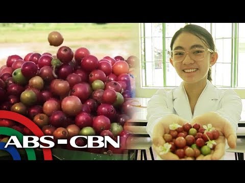 Aratelis gamot sa Diabetes | Rated K