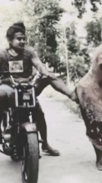 film jawa lucu !! #shortvideo #lucu #funny #komedi #jawalucu