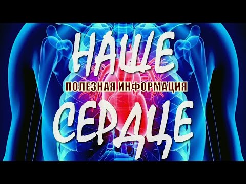 Наше сердце!! Полезная информация! Интересные факты. 💖