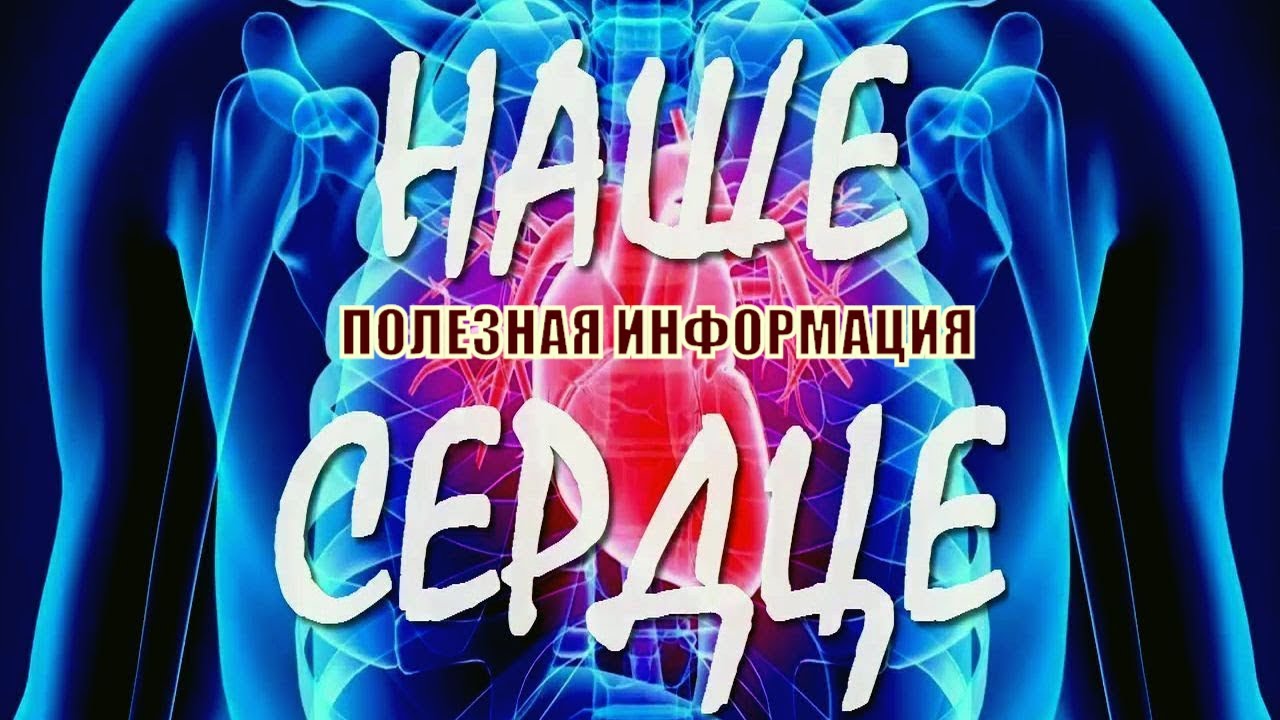 Наше сердце!! Полезная информация! Интересные факты. 💖