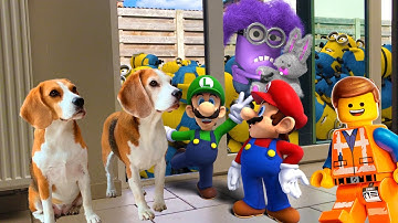 ⭐💜Best Of The Minions , Mario And Lego In Real Life Compilation 💜⭐ Amazing Surprise