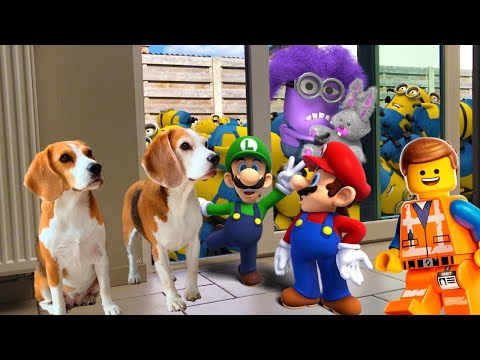 ⭐💜Best Of The Minions , Mario And Lego In Real Life Compilation 💜⭐ Amazing Surprise