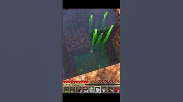 INFINITE Water From ONE Source In Minecraft One Block Skyblock