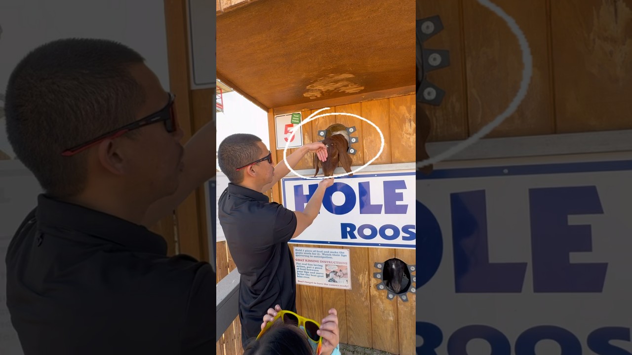 🇵🇭🇺🇸 Filipino culture so strong, even pets know Mano Po. 