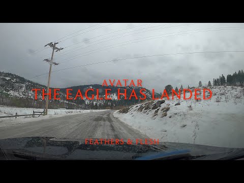 Avatar - The Eagle Has Landed (Lyrics)