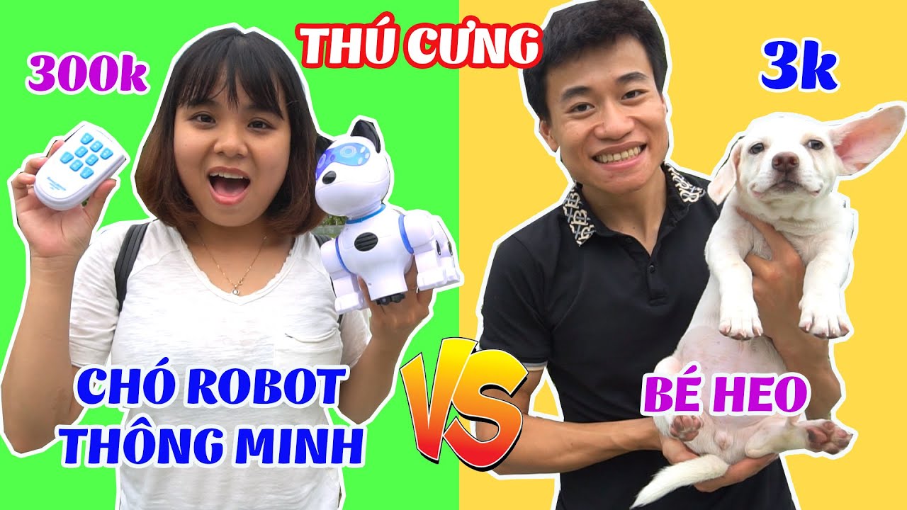 CHÓ ROBOT THÔNG MINH NHÀ GIÀU 300K VS CHÓ NUÔI NHÀ NGHÈO 3K CÓ GÌ KHÁC ...