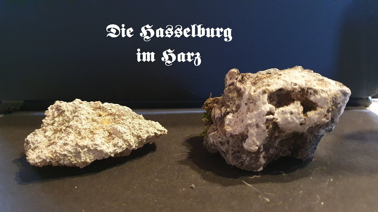Die Hasselburg im Harz; 2.Teil 
