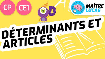 Déterminants et articles CP - Cycle 2 - Français : Etude de la langue - FLE