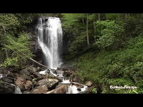 ЦЕЛЕБНЫЕ ЗВУКИ ЛЕСНОГО ВОДОПАДА, ПЕНИЕ ПТИЦ, ШУМ ЛЕСА -WATERFALL, SOUNDS OF NATURE, BIRDSONG