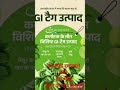 @कर्नाटक के तीन विशिष्ट GI टैग उत्पाद मालदीव निर्यात #fact#current.