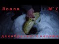 Ловля декабрьского налима  / Fishing for burbot in December