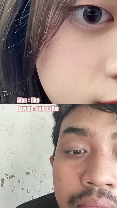 kalian pilih atas atau bawah guys #duet #funny #stitchtricks #comedy #stitchboutique #cat #diynstitc