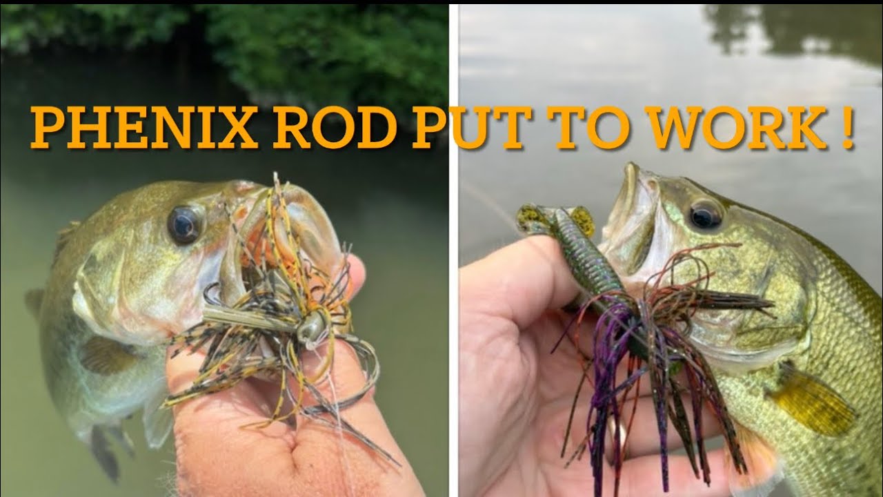Phenix rod Ftx-c 7’1H – using #badboyjigs