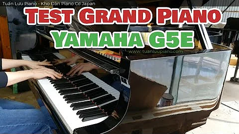 Test Đại Dương Cầm Grand Piano Yamaha G5 E - Đẳng Cấp Quý Tộc - Tuan Luu Piano
