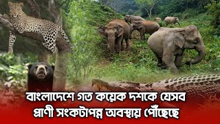 বাংলাদেশে গত কয়েক দশকে যেসব প্রাণী সংকটাপন্ন অবস্থায় পৌঁছেছে