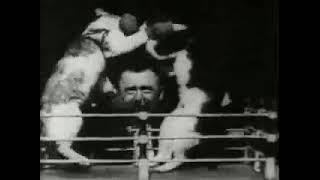 First ever cat video, "Boxing Cats", filmed at Edison's Black Maria Studios, 1894