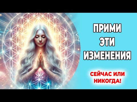 Сейчас или никогда!