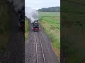 Jb 1236 Blasts Under Bridge #train #railway #railfan#trainspotting #steamtrain #newzealand