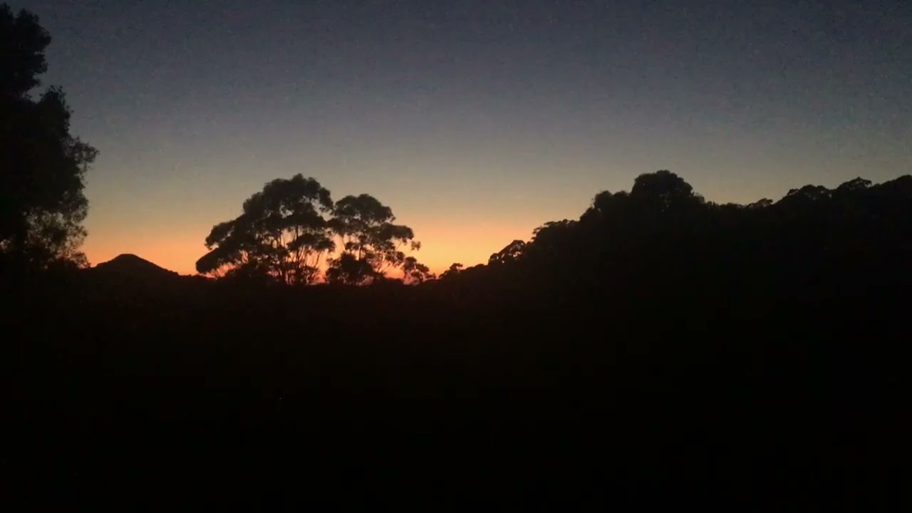 Australian Birdsong Sunrise