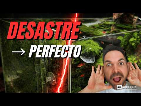 De desastre a acuario PERFECTO en un día 🔥►