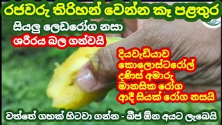රජවරු තිරිහන් වෙන්න කෑ  පළතුර | ලෙඩරෝග නසන පළතුර | කාමරංගා වල ගුණ